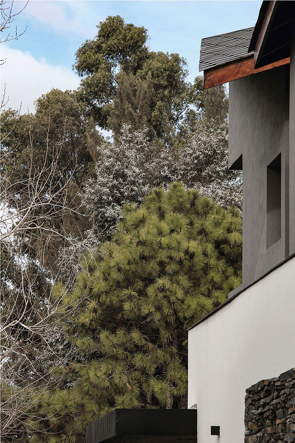 Casa Saint Thomas ||| Saint Thomas ||| DRM Ariquitectura