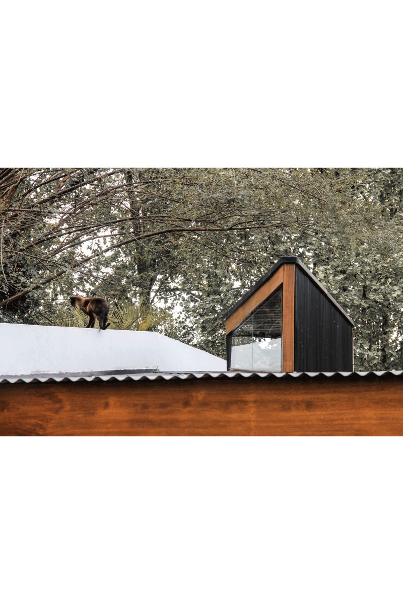 Quincho Adrogue ||| Adrogue ||| DRM Ariquitectura